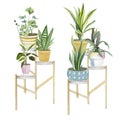 Watercolor hand painted house green plants in pots. Decorative set greenery collection. Home plants potted for greeting card Royalty Free Stock Photo