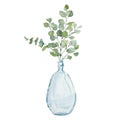 Watercolor Hand Painted House Plants In Glass Vase With Branches Eucalyptus.