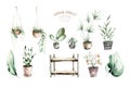 Watercolor hand painted house potted houseplant. green plants in flower pots. Set of floral elements isolated on white Royalty Free Stock Photo