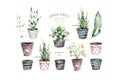 Watercolor hand painted house potted houseplant. green plants in flower pots. Set of floral elements isolated on white Royalty Free Stock Photo