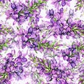 Watercolor hand-painted lilac, lavender, light violet hues summer flowers on a white ground