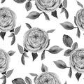 Watercolor hand painted monochrome seamless pattern with roses and leaves in gray tones isolated on white background.background.