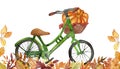 Watercolor hand painted nature autumn composition with green bicycle, brown basket with big orange pumpkin