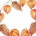 Watercolor hand painted nature autumn garden plants squared border frame with orange physalis fruits and wilted leaves Royalty Free Stock Photo