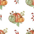 Watercolor hand painted nature autumn plants seamless pattern with red, orange and green pumpkin, dried herb, acorn, leaves compos