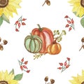 Watercolor hand painted nature autumn plants seamless pattern with red, orange and green pumpkins, yellow sunflower, acorn and red Royalty Free Stock Photo