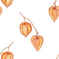 Watercolor hand painted nature autumn season plants seamless pattern with orange physalis berry fruit on branches