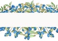 Watercolor hand painted nature banner composition with blue honeysuckle berries and green leaves on branches bouquet