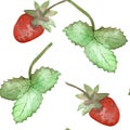 Watercolor hand painted nature berry greenery garden set with red wild strawberry on stem and green leaves collection Royalty Free Stock Photo