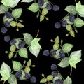 Watercolor hand painted nature berry greenery seamless pattern with green eucalyptus leaves on branch and purple blackberry bouque Royalty Free Stock Photo