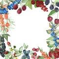 Watercolor hand painted nature berry squared border frame with blackberries, black currants, cherries, strawberries, cranberries,