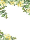 Watercolor hand painted nature border frame with yellow lime blossom flowers and green eucalyptus leaves on branch bouquet on the