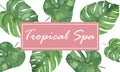 Watercolor hand painted nature bright tropical frame composition with green palm leaves and pink squared space for tropical spa te