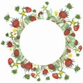 Watercolor hand painted nature circle border frame with red wild strawberries, white blossom flowers and green leaves bouquet