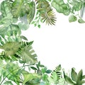 Watercolor hand painted nature corner frame with different green tropical leaves and plants, jungle plants collection Royalty Free Stock Photo