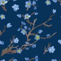 Watercolor hand painted nature dark seamless pattern with light blue blossom cherry flowers on the brown branches on the dark blue Royalty Free Stock Photo