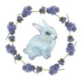 Watercolor hand painted nature easter holiday composition with blue little rabbit and circle purple lavender flower branches frame