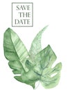 Watercolor hand painted nature eco save the date composition with green tropical jungle different leaves Royalty Free Stock Photo