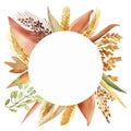 Watercolor hand painted nature field plants circle frame with yellow, green and wheat, oats, barley, millet grain cereals composi