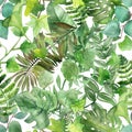 Watercolor hand painted nature flora  seamless pattern with different green tropical leaves and branches Royalty Free Stock Photo