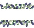 Watercolor hand painted nature floral banner frame with purple lavender flowers and green eucalyptus leaves branch Royalty Free Stock Photo