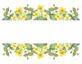 Watercolor hand painted nature floral banner frame with yellow blossom celandine flowers and green eucalyptus leaves on branches