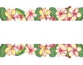 Watercolor hand painted nature floral banner with pink plumeria blossom flowers and green striped leaves Royalty Free Stock Photo