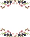 Watercolor hand painted nature floral berry garden banner frame with blackberry, pink apple blossom flowers and green leaves on br Royalty Free Stock Photo