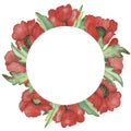 Watercolor hand painted nature floral circle border frame with red poppy flowers and green leaves bouquet on the white background Royalty Free Stock Photo