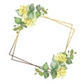 Watercolor hand painted nature floral frame with yellow lime blossom flowers and green eucalyptus branches bouquet and golden bord