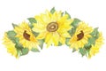 Watercolor hand painted nature floral garden wreath composition with yellow blossom sunflowers and green leaves bouquet Royalty Free Stock Photo