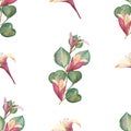 Watercolor hand painted nature floral greenery seamless pattern with green eucalyptus leaves, pink buds on branches and blossom ho