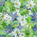 Watercolor hand painted nature floral herbal background texture with purple borage plant, white blossom chamomile flowers and gree