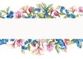 Watercolor hand painted nature floral herbal banner composition with pink blossom honeysuckle flowers, blue berries and green leav