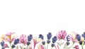 Watercolor hand painted nature floral line banner composition with purple lavender and pink honeysuckle flowers on branch Royalty Free Stock Photo