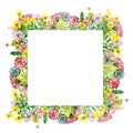 Watercolor hand painted nature floral meadow squared border frame with pink acacia, Arnica, wormwood, blue Daisy, yellow dandelion