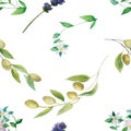 Watercolor hand painted nature floral provence seamless pattern with green olives, purple lavender blossom flowers and white berga Royalty Free Stock Photo