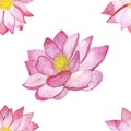 Watercolor hand painted nature floral romantic water seamless pattern with pink blossom lotus flowers Royalty Free Stock Photo