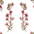 Watercolor hand painted nature floral seamless pattern with apple blossom pink flowers on the branches with green leaves Royalty Free Stock Photo