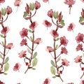 Watercolor hand painted nature floral seamless pattern with pink apple blossom flowers on the branches with green leaves Royalty Free Stock Photo