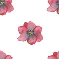 Watercolor hand painted nature floral seamless pattern with pink blossom flowers Royalty Free Stock Photo