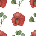 Watercolor hand painted nature floral seamless pattern with red poppy blossom flowers and green eucalyptus leaves on branch compos