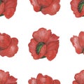 Watercolor hand painted nature floral seamless pattern with red poppy flowers composition texture isolated on the white background Royalty Free Stock Photo