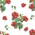 Watercolor hand painted nature floral seamless pattern with red poppy flowers and green eucalyptus branches bouquet isolated on th Royalty Free Stock Photo