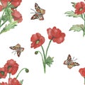 Watercolor hand painted nature floral seamless pattern with red poppy flowers on green stem with leaves and ornamental brown butte Royalty Free Stock Photo