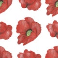 Watercolor hand painted nature floral seamless pattern with red poppy petal flower with yellow center isolated on the white backgr Royalty Free Stock Photo