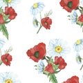 Watercolor hand painted nature floral seamless pattern with red poppy and white chamomile on green branch bouquet isolated on the Royalty Free Stock Photo
