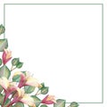 Watercolor hand painted nature floral squared border frame with green eucalyptus leaves on branches, pink blossom honeysuckle flow Royalty Free Stock Photo