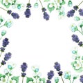 Watercolor hand painted nature floral squared border frame with purple lavender and white jasmine flowers on green branches Royalty Free Stock Photo