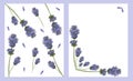 Watercolor hand painted nature floral two frames composition with purple, lilac lavender flowers branches and petals around Royalty Free Stock Photo